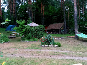 Дом у сосен