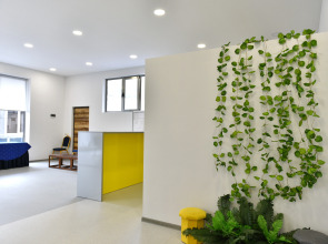 Отель Green Wood