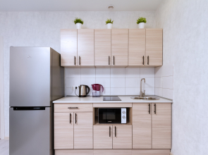 Апартаменты Стильные на Набережной Оби