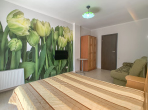 Гостевой дом Шаляпин Хаус