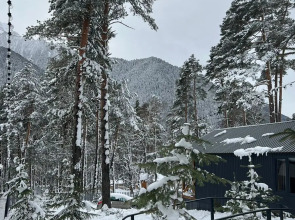 База отдыха Сосновка