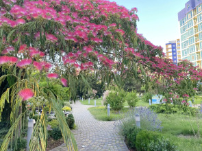 Апартаменты Аквамарин Resort