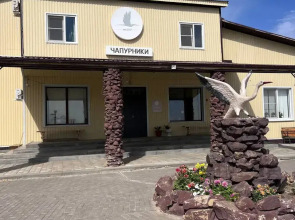 Хостел Чапурники