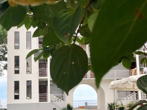 Отель Hotel Medusa