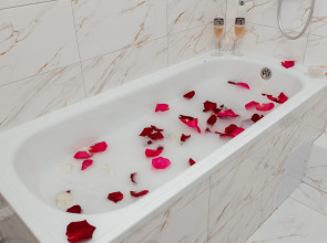 Квартира Студия у моста