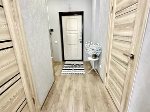 Квартира на Чапаева 61