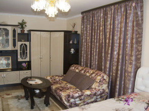 Апартаменты Елизаровых 45