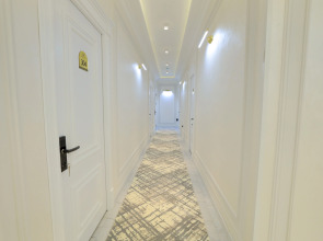 Отель AMIR PLAZA