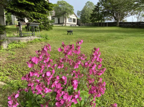 Гостевой дом Bay House Sakhalin