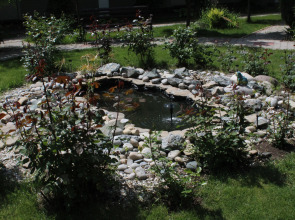 Отель Золотой Лев