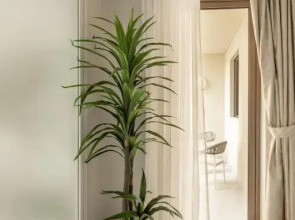 Апартаменты Happy Academia JBR