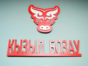 Отель Кызыл Бозау