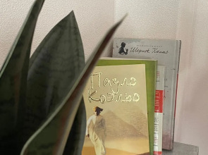 Апартаменты Ботаника