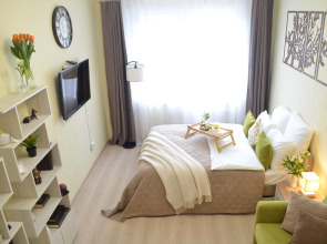 Квартира однокомнатная В гостях у Петербурженки Янино