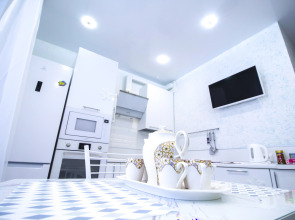 Апартаменты Ленина 221