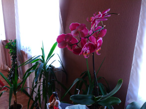 Гостевой дом В Залесном М7