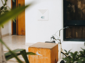 Отель Dubai Marine Beach Resort & Spa