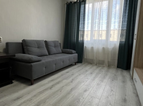 Квартира Однокомнатная квартира в Центральном районе