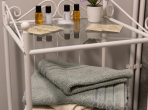 Квартира двухкомнатная в Доме с видом на Лавру