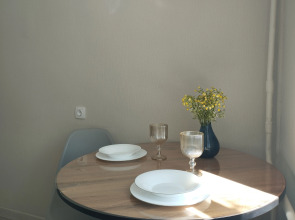 Квартира Светлая