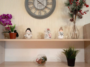 Однокомнатные RusDom Apartments возле спорткомплекса Зима-Лето