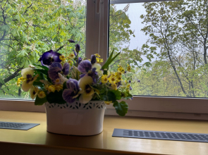 Апартаменты Причал