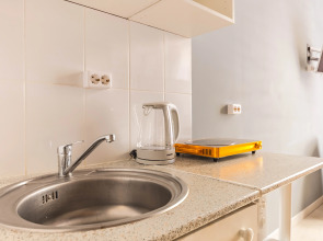 Апартаменты Plaum Hotel Студия 10 на Коломенской