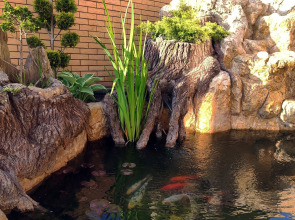 Гостевой дом Софи