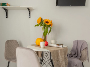 Апартаменты -студия в Песочном