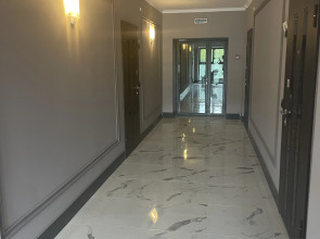 Апартаменты в сосновом лесу