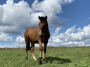 База отдыха ZAгород