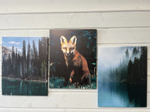 Квартира Лиса в Городе