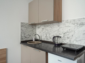 Апартаменты Нижний Ораниенбаум (308)