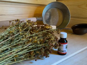 Гостевой Дом PANORAMA ALTAI