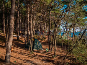 Гостевой дом Дивный