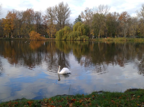 Квартира на Белгородской