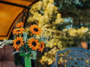 Гостевой дом Николина усадьба