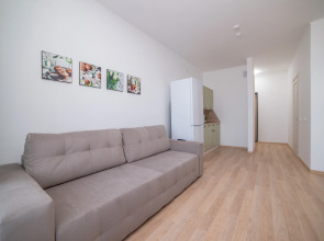 Апартаменты Сурикова 63