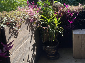 Апартаменты LOFT Холл у Кремля с четырьмя комнатами