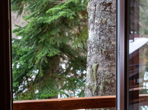 База отдыха Velvet