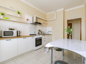 Апартаменты идеальные для большой компании в центре