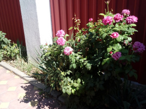 Гостевой дом на Стасова