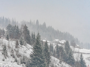 Отель Villa Milena