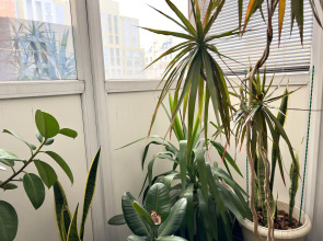 Апартаменты ВыДома в шаге от набережной с видом на Бульвар Дзержинско