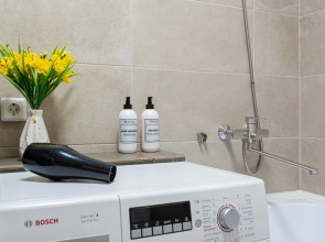 1-к в Центре в современном доме от RentAp 5 сп мест