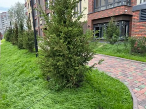 Квартира СИБИРЬ HOUSE новый дом около Вокзала