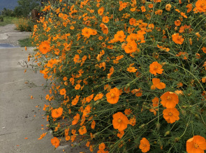 Гостевой дом Морская сказка