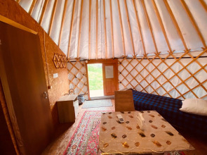 Глэмпинг Алтайский