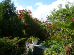 Мини-отель Август