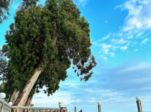 База отдыха Набережная Виктория